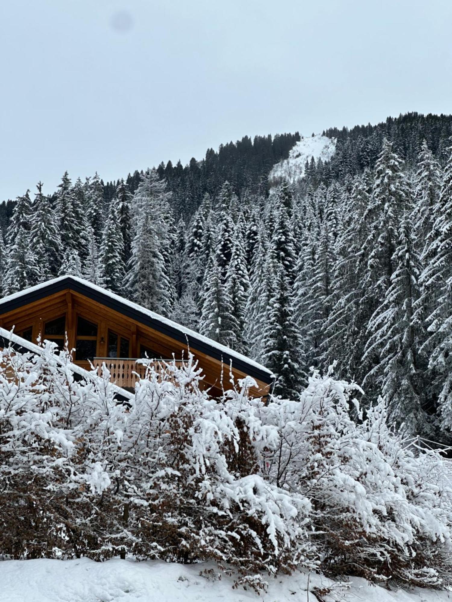La Rose Des Neiges A Châtel Exteriör bild